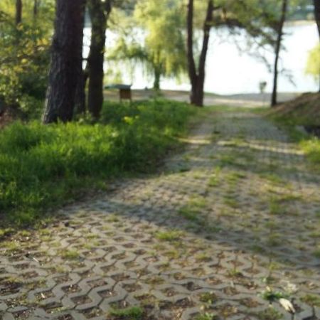 Natur-Freude-16 Kotzen エクステリア 写真