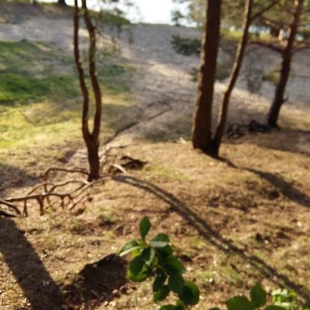 Natur-Freude-16 Kotzen エクステリア 写真